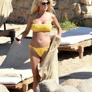 Naked celebrity picture Victoria Silvstedt 001 pic