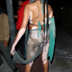 Hot Naked Celeb Winnie Harlow 012 pic