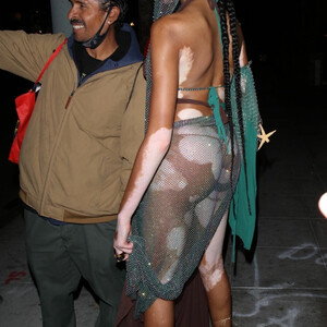 Famous Nude Winnie Harlow 015 pic