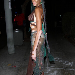 Leaked Celebrity Pic Winnie Harlow 019 pic