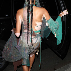 Naked Celebrity Winnie Harlow 022 pic