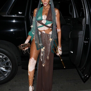 celeb nude Winnie Harlow 026 pic