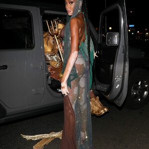 Famous Nude Winnie Harlow 029 pic