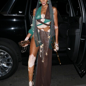 Best Celebrity Nude Winnie Harlow 031 pic