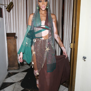 Nude Celeb Winnie Harlow 038 pic