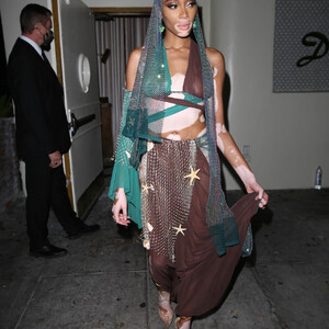 Best Celebrity Nude Winnie Harlow 042 pic