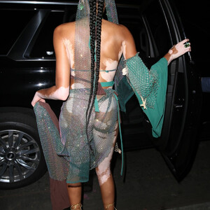 Celebrity Nude Pic Winnie Harlow 055 pic