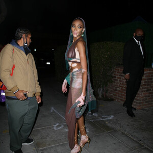 Celebrity Leaked Nude Photo Winnie Harlow 076 pic