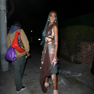 Nude Celeb Pic Winnie Harlow 078 pic