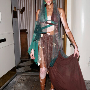 Newest Celebrity Nude Winnie Harlow 091 pic