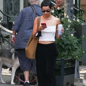 Zoe Kravitz is Pictured Braless on a Solo Stroll in NYC (6 Photos) - Leaked Nudes
