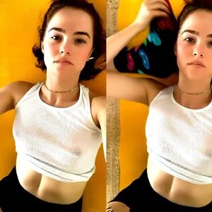Zoey Deutch See Through (5 Pics + GIFs) – Leaked Nudes
